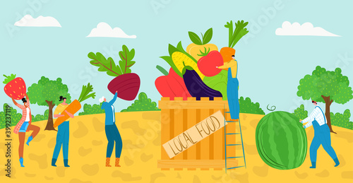 Agriculture harvest with fresh vegetable food concept, vector illustration. People character collect healthy organic product from farm garden. Man woman farmer with huge cartoon vegetable.