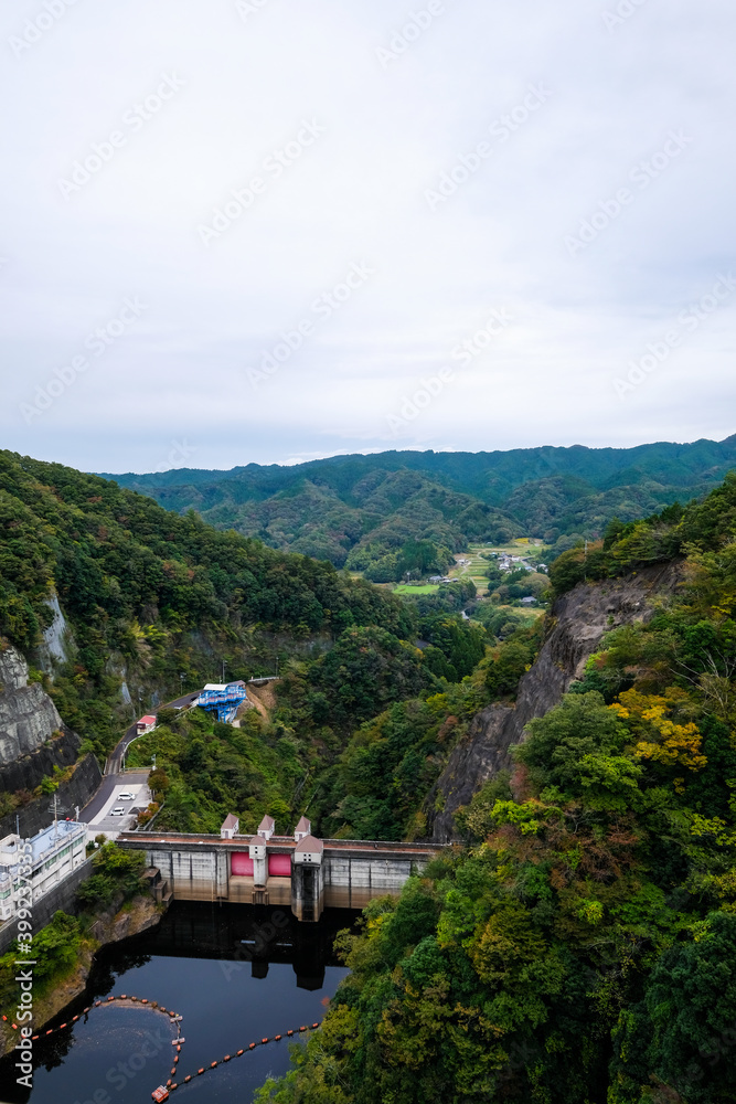 Fototapeta premium 茨城県久慈郡の袋田の滝