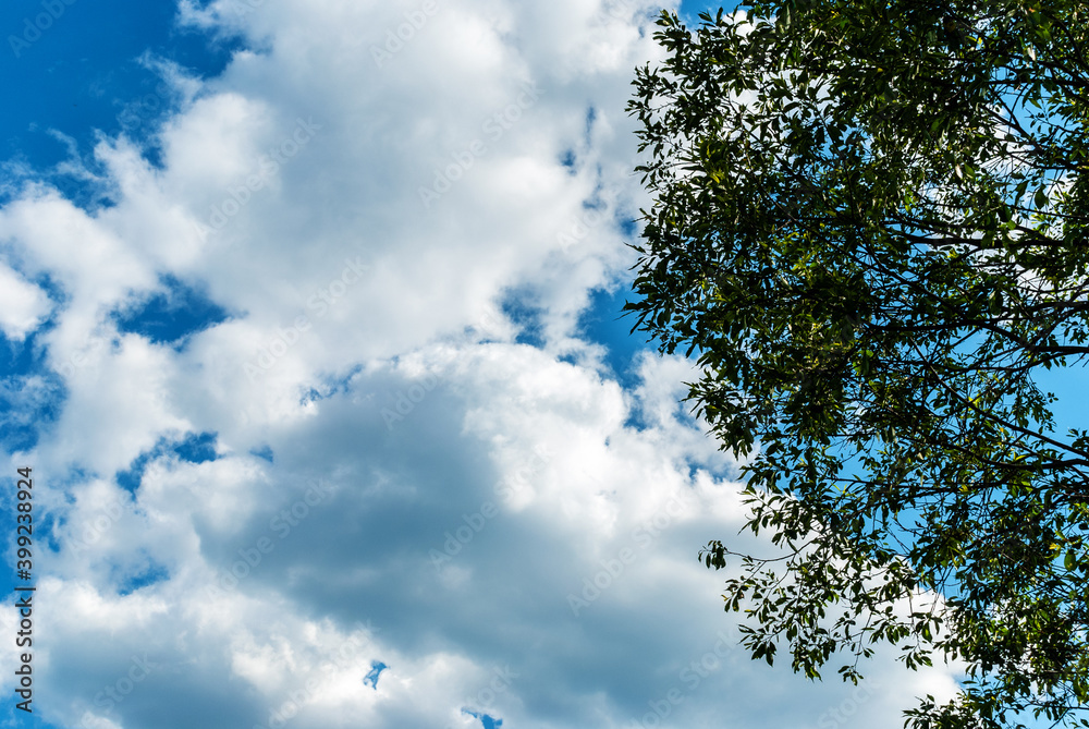 Picturesque blue sky with large beautiful clouds on a bright sunny day. Sky replacement template