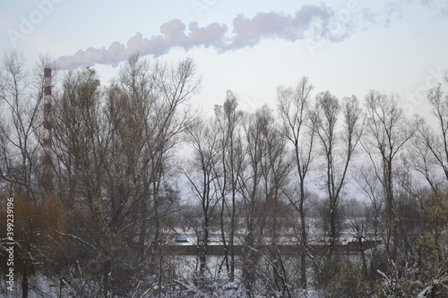 Wallpaper Mural Panorama of the bank of the river Danube with winter cover in December.  Torontodigital.ca