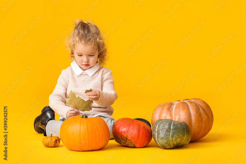 Fototapeta premium Cute little girl with pumpkins on color background