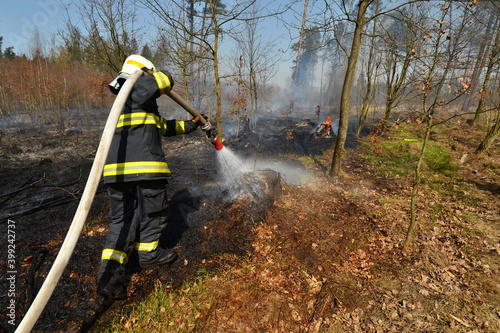 Cuadro en lienzo A firefighter uses a stream of water from a hose to extinguish a forest fire wit