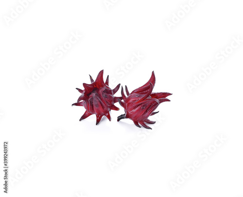 Roselle hibiscus on white background.