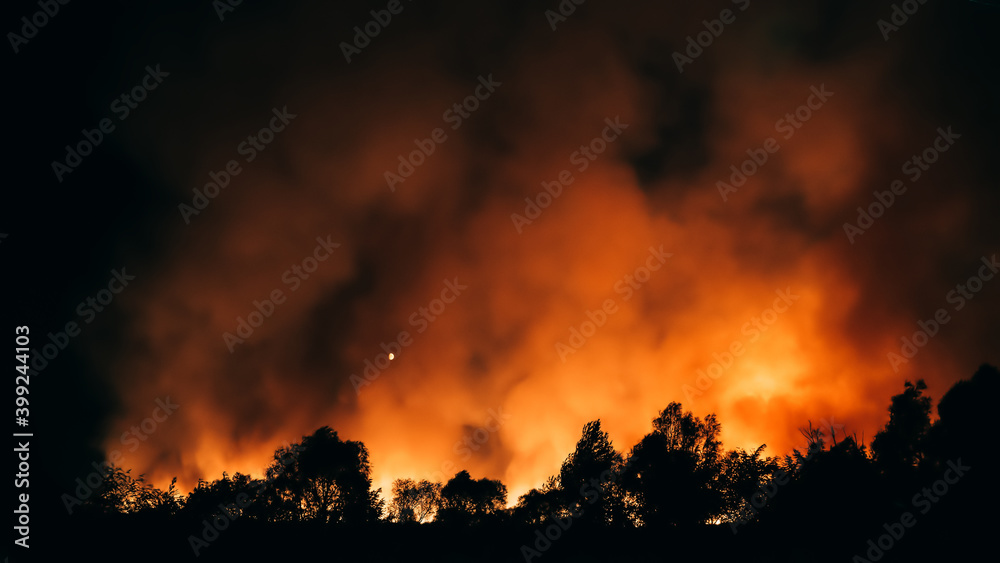 Forest fire at night, red and yellow flame of wildfire, burning trees due climate change and global warming. Forest fire at night, red and yellow flame of wildfire, burning trees due climate change and global warming.