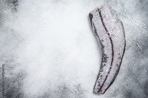 Raw grenadier macrurus fish. White background. Top view. Copy space photo