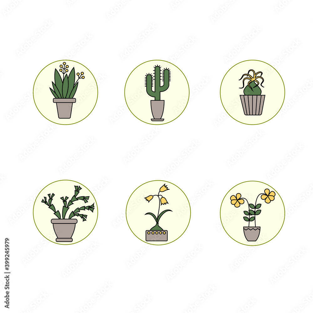 colored icons of plants, icons of plants in a circle colored icons of plants, icons of plants in a circle