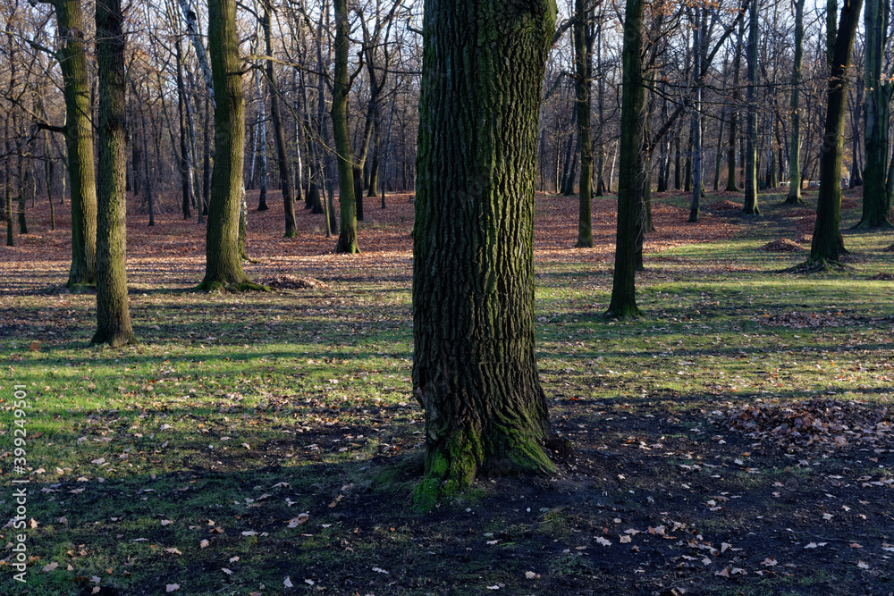 Park Kościuszki w słoneczny zimowy dzień