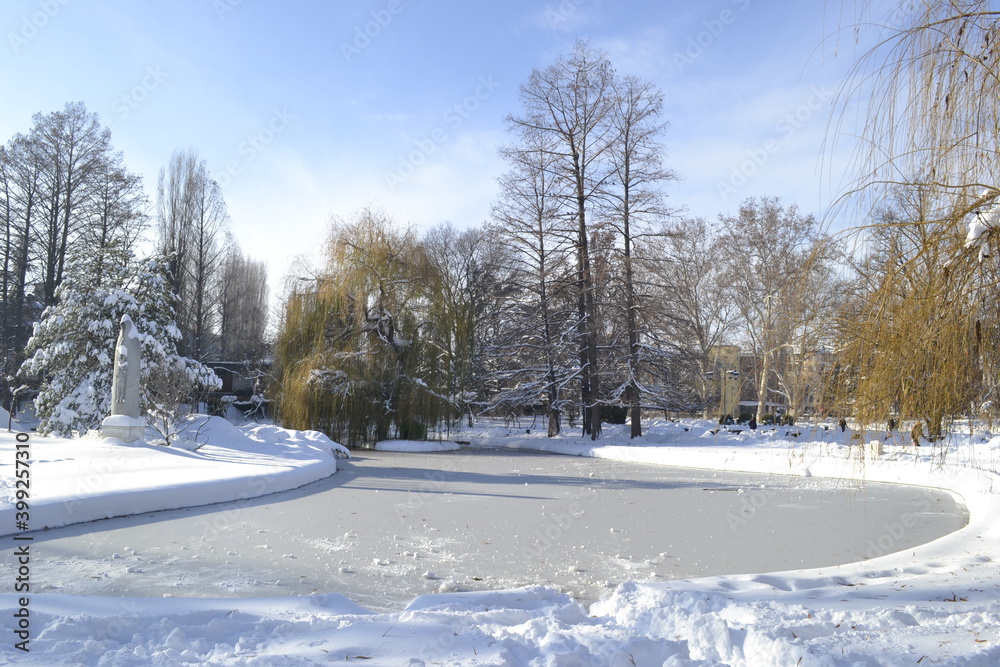 Panorama of the city park covered with snow in Novi Sad 