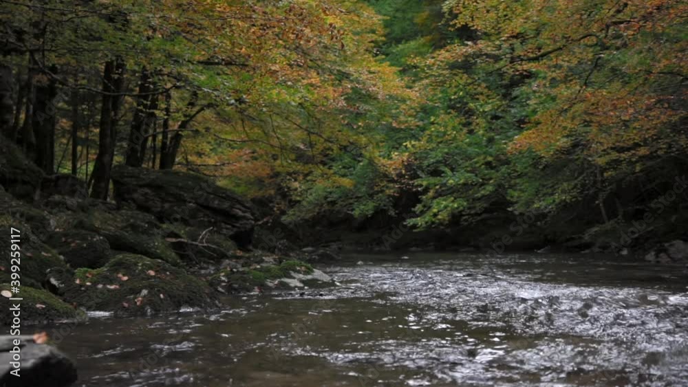 Stream of a river that flows between rocks and the fallen leaves of the trees. Irati forest in autumn Stream of a river that flows between rocks and the fallen leaves of the trees. Irati forest in autumn