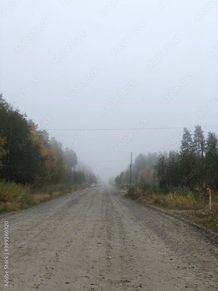 road in autumn