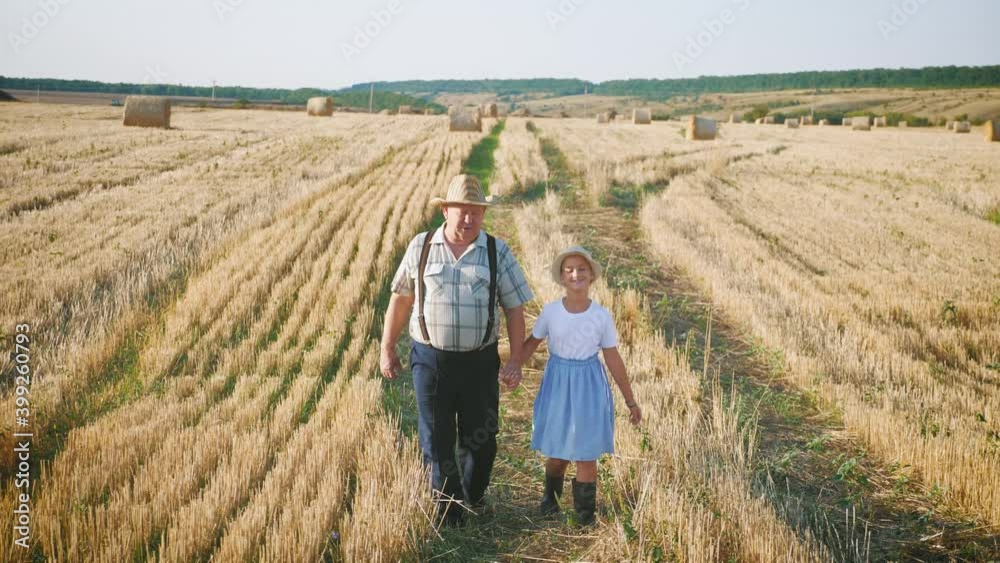 Grandfather and granddaughter walking across the field with haystacks. Farmer grandfather teaches the younger generation. Grandfather and granddaughter walking across the field with haystacks. Farmer grandfather teaches the younger generation.