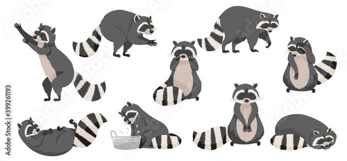 Funny Raccoon with Dexterous Front Paws and Ringed Tail Vector Set