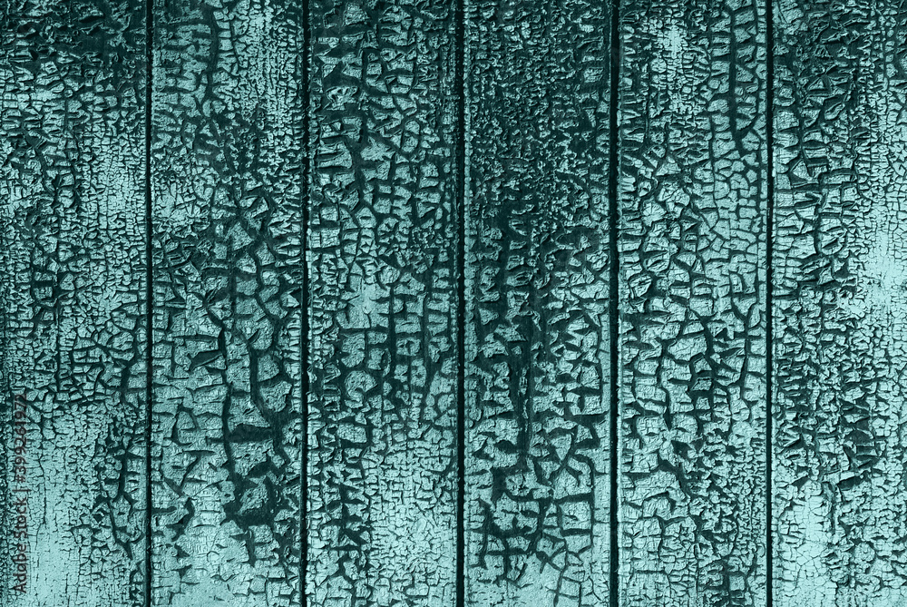 crack mesh of old peeling paint on wooden planks wall in blue-green tones