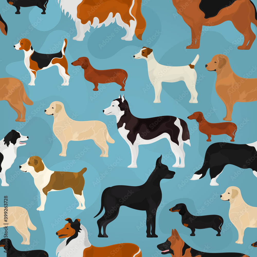 Seamless vector pattern on the basis of different breeds of dog on a blue background