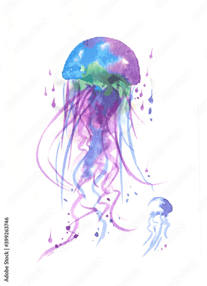 Fototapeta premium くらげ2