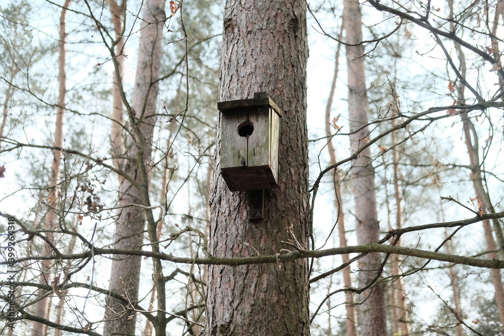 wooden bird house on the tree