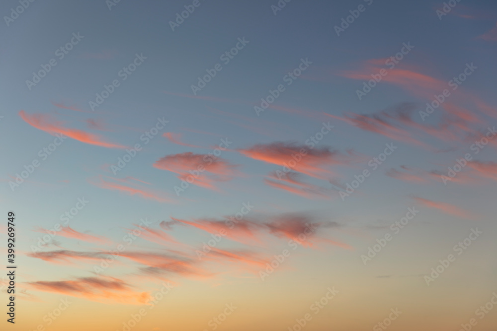 Scattering of pink clouds at dawn, Oregon Scattering of pink clouds at dawn, Oregon
