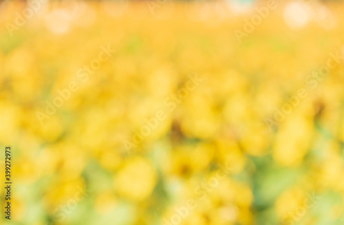 Blurred bokeh nature background. Abstract natural backdrop of park or garden.