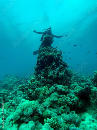 scuba diver and reef