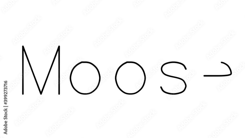 Moose Handwritten Text Animation in Various Sans-Serif Fonts and Weights Moose Handwritten Text Animation in Various Sans-Serif Fonts and Weights