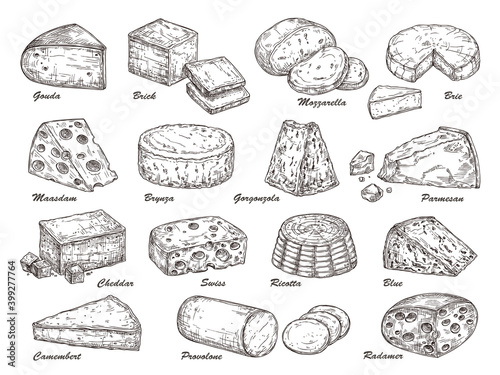 Sketch cheese. Hand drawn product, holland tasty dairy cuisine food. Isolated parmesan piece, cheddar gouda exact slice vector collection. Illustration product fresh piece, swiss drawing cheese photo