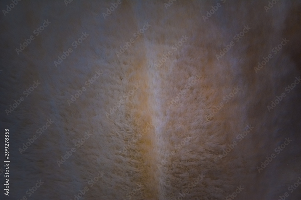 Naklejka premium Sheep Skin