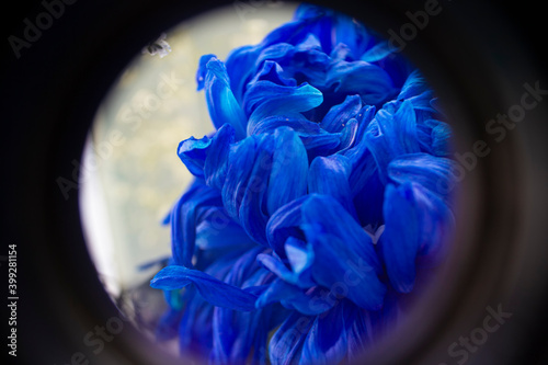 lens in the form of a heart