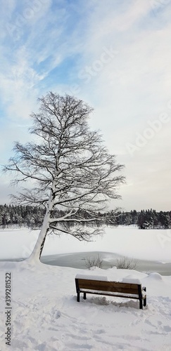 Фотография Sognsvann frozen laze