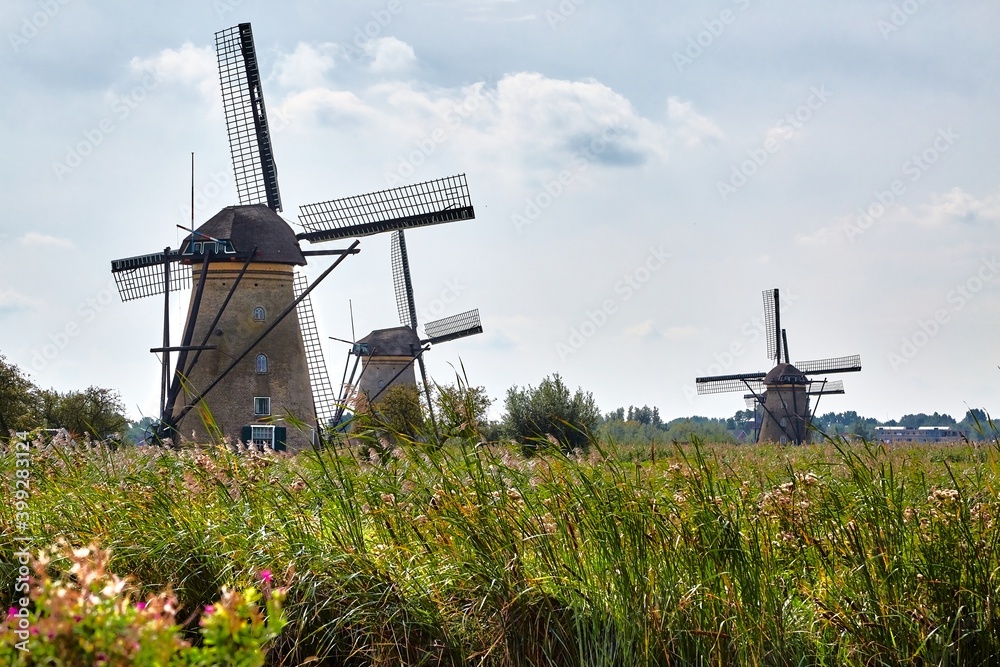 Old windmills on dutch lowlands landscape