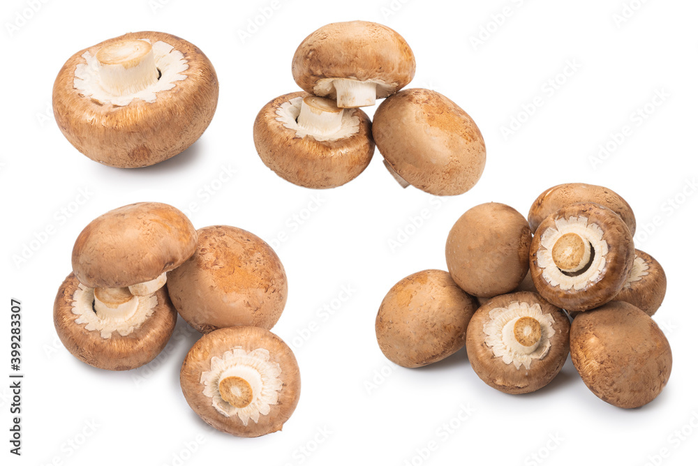 Tasty mushroom isolated on white background. Tasty mushroom isolated on white background.