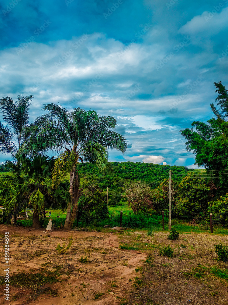 Roça paisagem com palmeiras