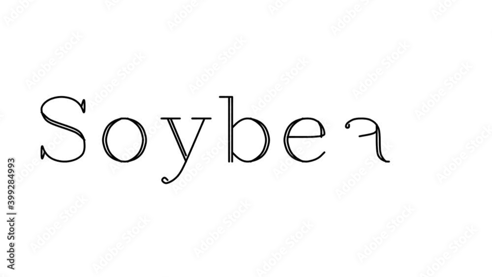 Soybean Animated Handwriting Text in Serif Fonts and Weights Soybean Animated Handwriting Text in Serif Fonts and Weights