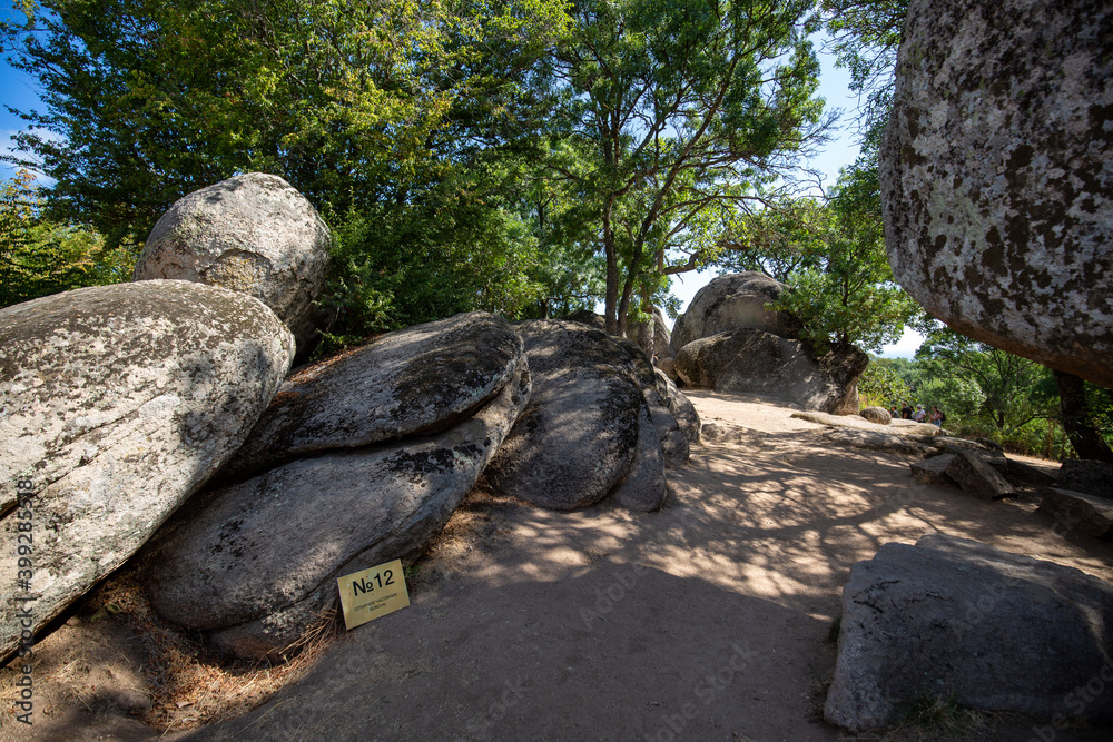 Obraz premium stone in the forest