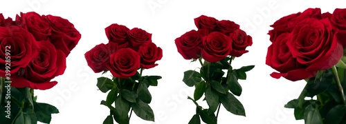 Bouquet of five red red roses close up in daylight with different views on a white background
