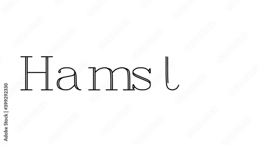 Hamster Animated Handwriting Text in Serif Fonts and Weights Hamster Animated Handwriting Text in Serif Fonts and Weights