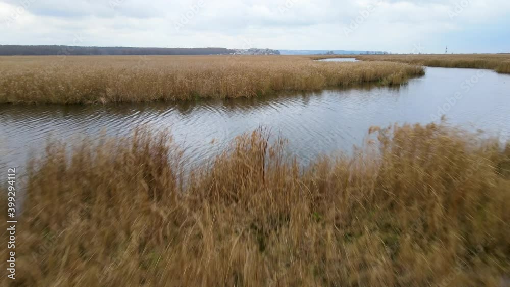 Lake and reeds in autumn, Igneada, Turkey Lake and reeds in autumn, Igneada, Turkey