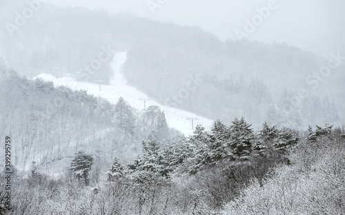 Snow covered mountains photo