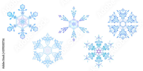雪の結晶の水彩イラスト。ベクターデータ。