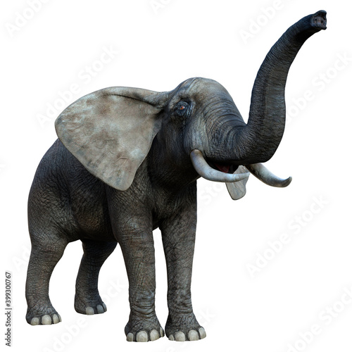 3D Rendering African Elephant on White