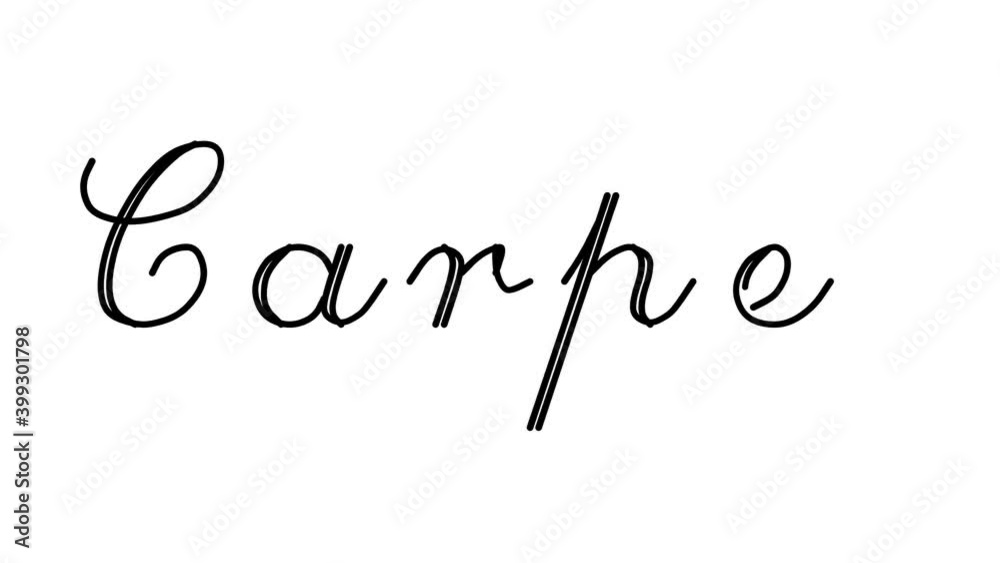 Carpet Decorative Handwriting Animation in Six Cursive and Gothic Fonts Carpet Decorative Handwriting Animation in Six Cursive and Gothic Fonts
