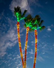 Palm trees decorated with christmas lights against a blue sky.