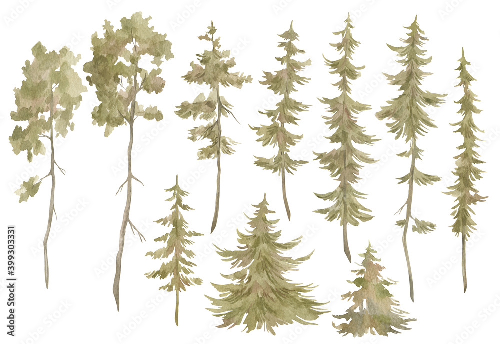 Obraz premium Watercolor set with evergreen trees. Winter forest landscape elements. Isolated spruce, oaks, pines, fir trees. Coniferous green forest, christmas tree