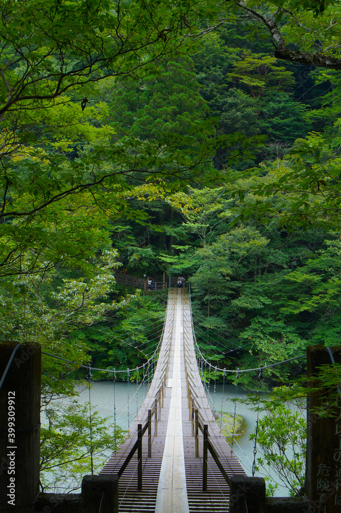静岡県の夢の吊り橋