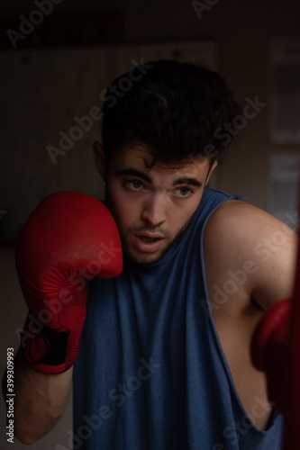 young boxer training portrait 