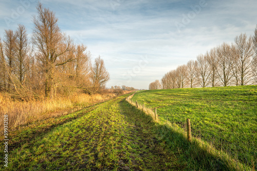 Landscape at the foot of a Dutch dike near the Amer river in the province of Noord-Brabant. A long fence of wooden posts and barbed wire is visible from the foreground to the distance. It is winter.