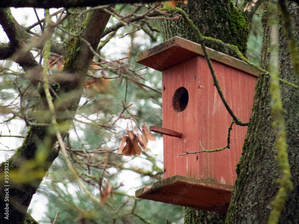 bird house on tree