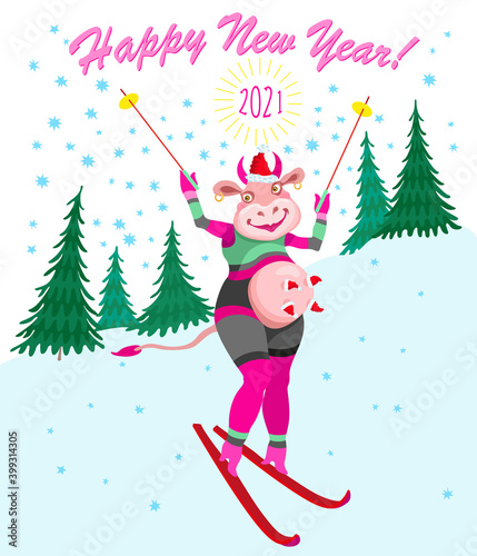 Cartoon cow goes skiing slalom between fir trees from the mountain. Humorous winter vacation tee shirt print with blue snowflakes and Chinese 2021 New Year holidays post card, party invitation