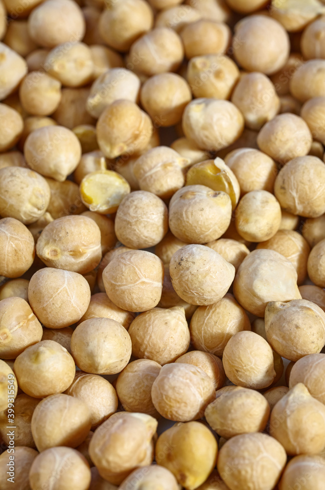 Close up picture of chickpea, shallow depth of field. Close up picture of chickpea, shallow depth of field.