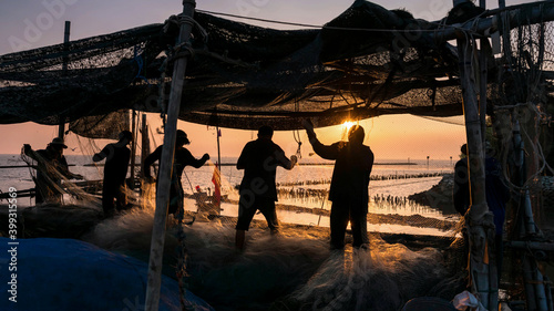 Fishermen pull fishing net to get fish at sunset