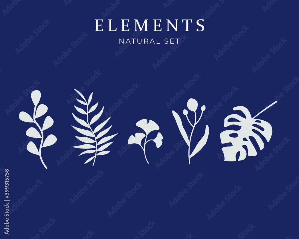 Fototapeta premium Set of vector plants and herbs. Hand drawn floral elements. Isolated vector illustration